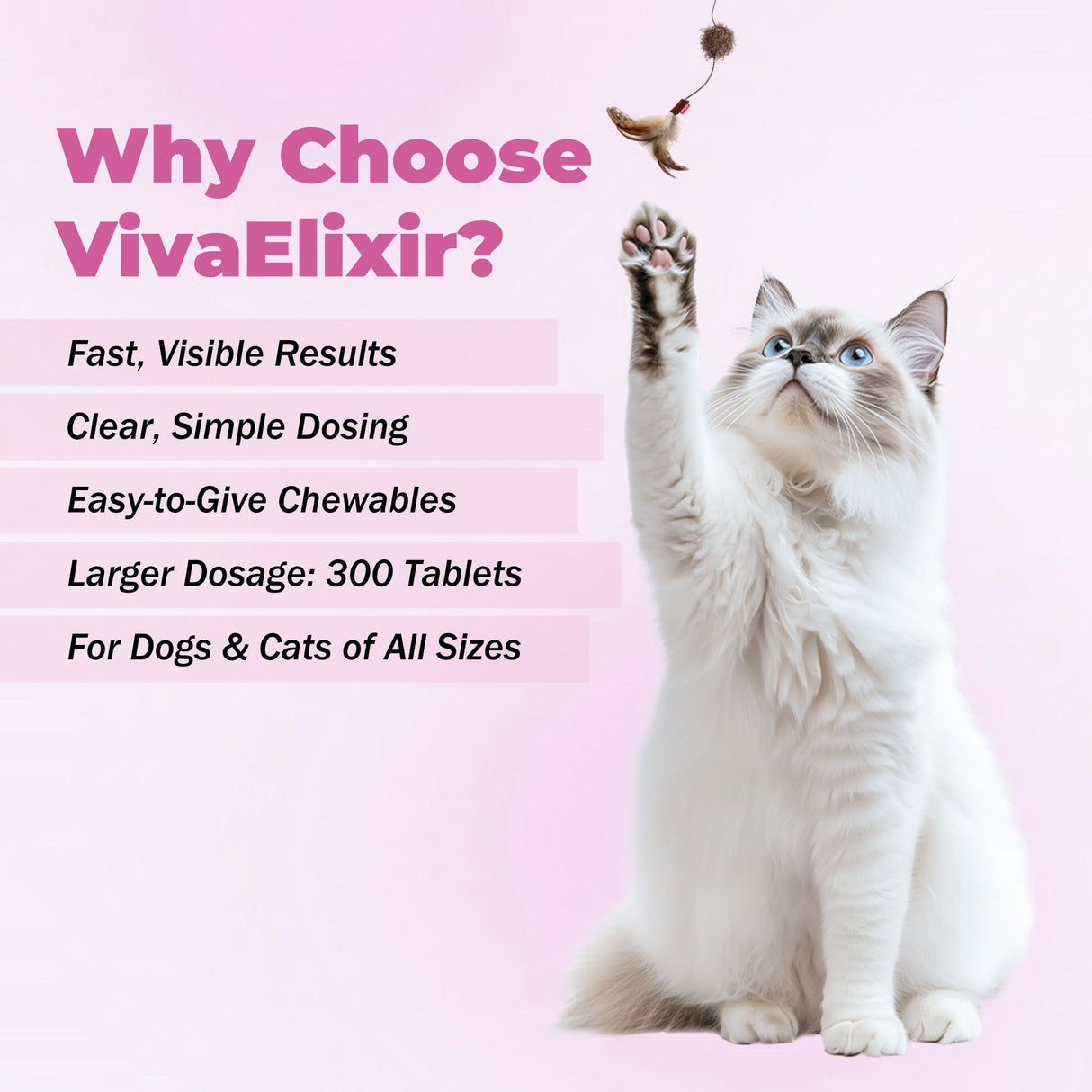 Probiotics for Dogs - Diarrhea Relief for Dogs and Cats - Supports Relief of Diarrhea and Loose Stools - Supports Digestive Balance and Gut Health - with Kaolin Clay and Probiotics - 300 Tablets