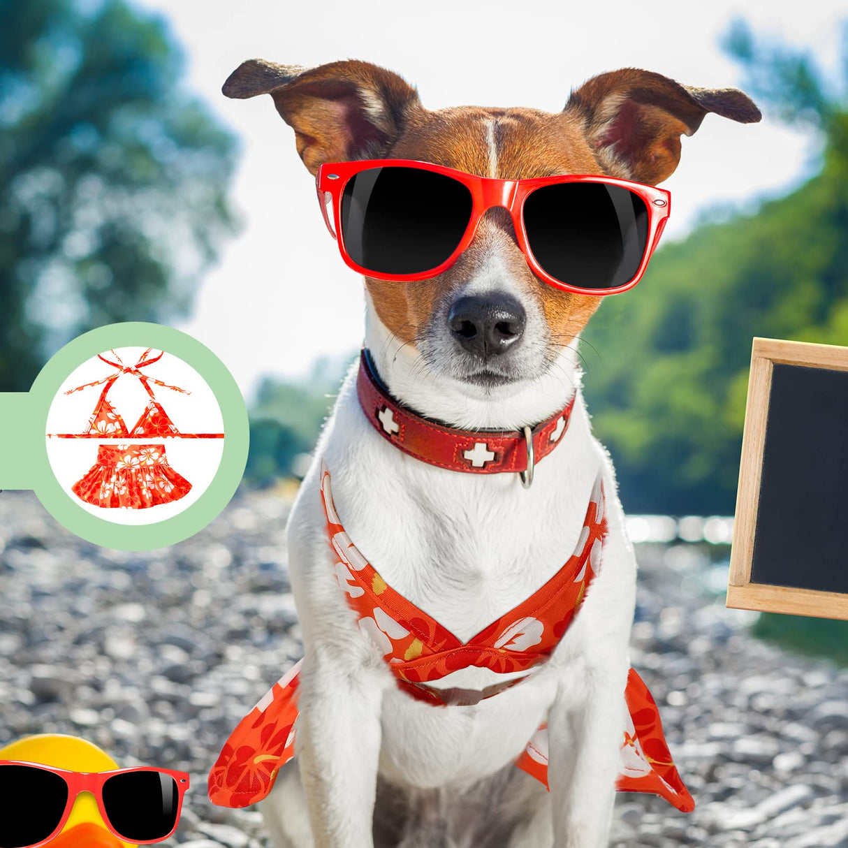 Amylove 4 Pack Summer Themed Dog Bikini for Small Dogs Bathing Suits for Puppy Doggies Swimsuit Dog Bathing Dress Pet Skirts Hawaii Puppy Dresses for Girl Small Dogs Cats Beach