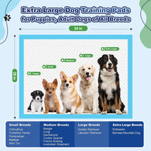 Load image into Gallery viewer, Puppy Pads XL 100 Count, Dog Pee Pads Extra Large, 34"x28" Pee Pads for Dogs, X-Large Disposable Dog Training Pads Super Absorbent&Leak-Proof, Quick-Dry Potty Piddle Pads for Doggy, Cats, Pet Supplies