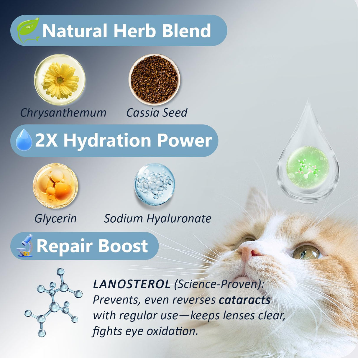 Dog & Cat Cataract Eye Drops & Infection Treatment β Vet-Recommended Formula for Cloudy, Itchy, Watery, Goopy Eyes and Pink Eye Treatment, Natural All-in-One Relief for Pet Eye Issues (2 X 10 ml)