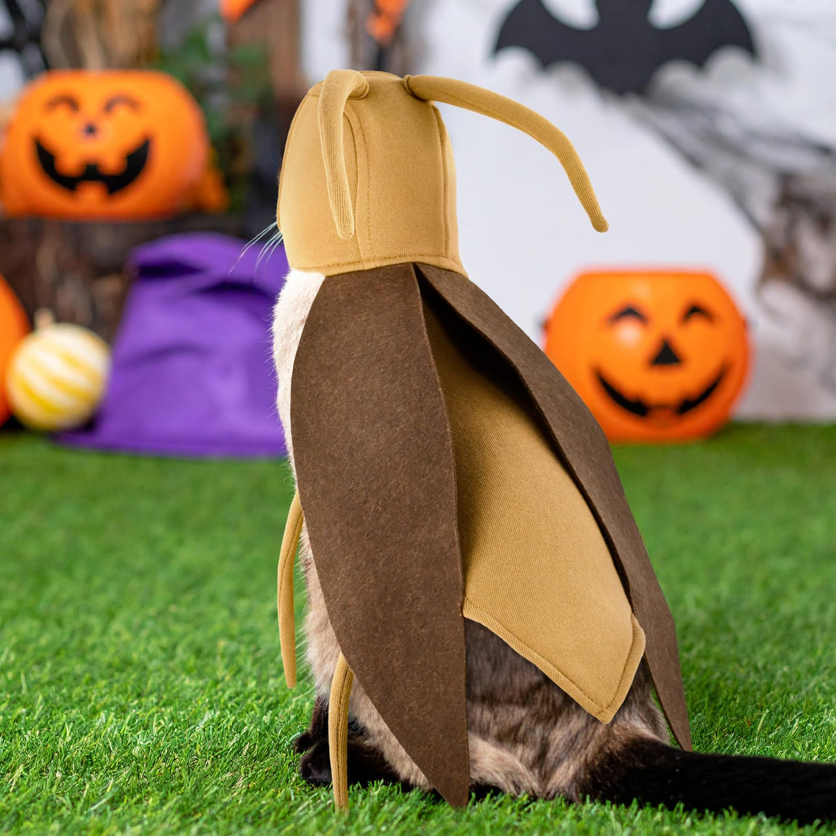 LyssKMK Halloween Puppy Cat Costume Dog Cockroach Shaped Outfits Pet Festival Cosplay Apparel for Small Dogs Cats