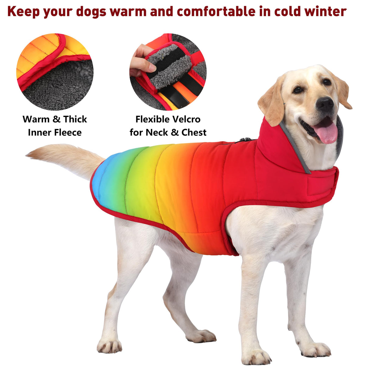 Petglad Dog Winter Coat, Waterproof Dog Jacket with Leash Hole, Reflective Adjustable Pet Snow Vest, Warm Fleece Sweater for Small Medium Large Dogs - Rainbow, S