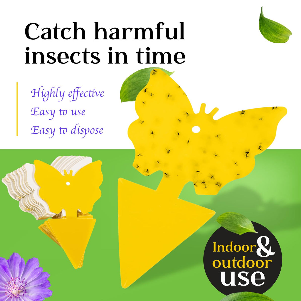 Fruit Fly and Gnat Traps | Great for Indoors and Outdoors | Also for Ants, Moths, Spiders, Flies | Easy to Use | Easy to Dispose