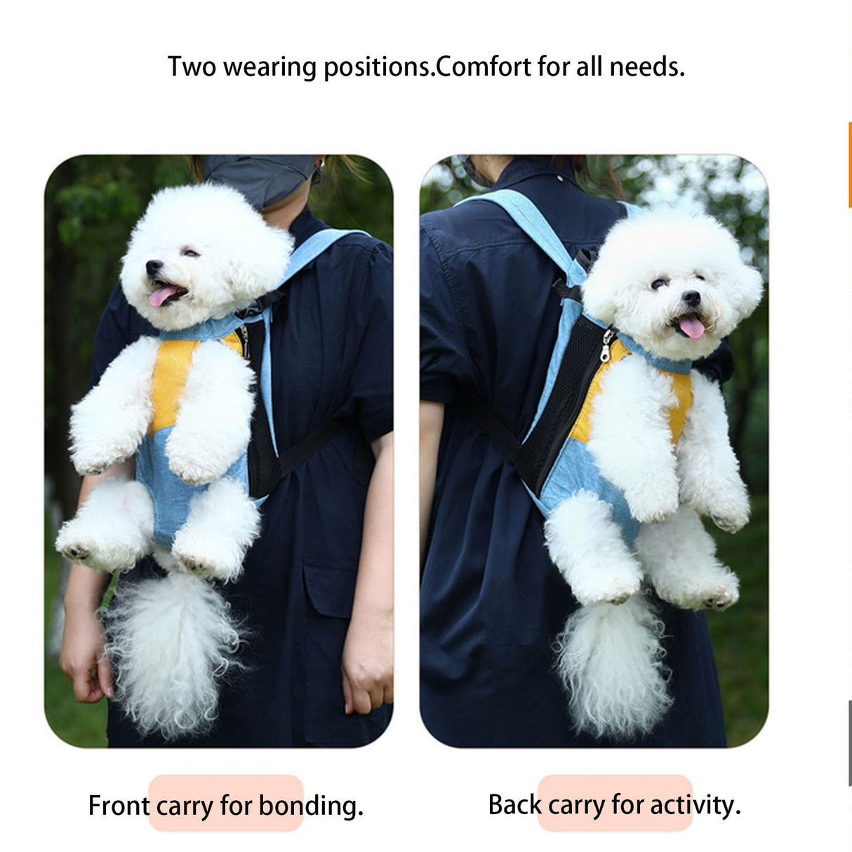 Lightweight Pet Backpack Carrier for Small Dogs & Cats - Easy-Fit Adjustable Straps, Basic Legs-Out Design, Durable for Daily Use (Fits Pets Under 15lb) (Yellow-Blue Color-Blocked, Large)