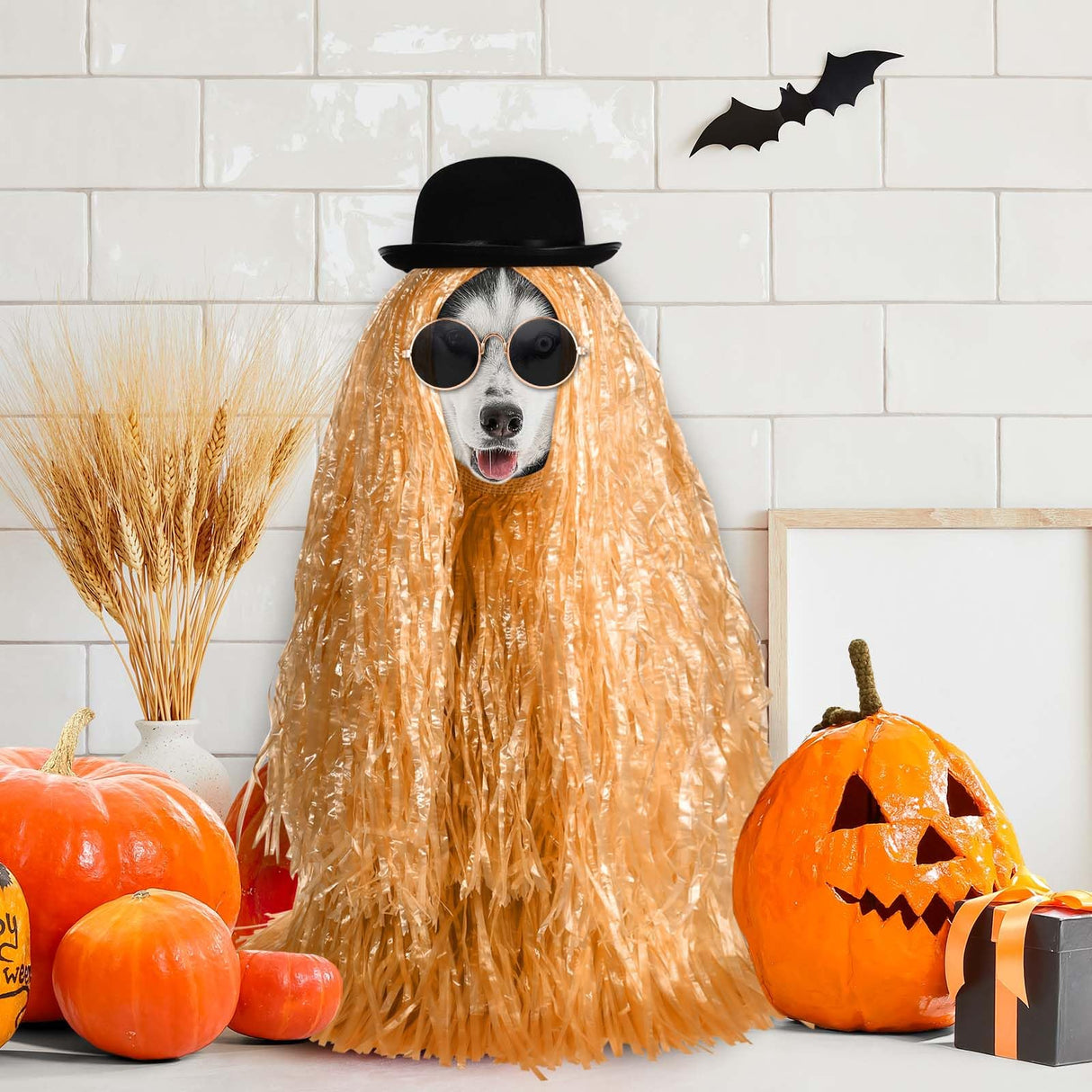 JcHrmers 4 Pcs Pet Halloween Costume Include Derby Hat,Luau Hula Skirts and Round Sunglasses for Halloween Funny Dog Pet Costume Cosplay