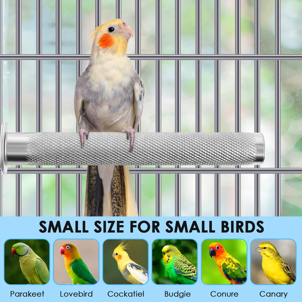 KATUMO Bird Perch - Stainless Steel - Rough Surface Stand for Small to Medium Parrots (9.8 x 1.0 inch)