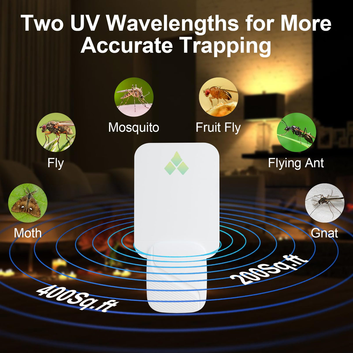 Gnat Traps for House Indoor, Fly Trap Indoor for Fruit Flies, Gnat, Moth, Mosquito, and Other Flying Insects - 2 Devices + 12 Glue Boards, Two Modes Protect 400 Sq Ft for Home