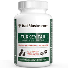 Load image into Gallery viewer, Real Mushrooms Turkey Tail Capsules for Pets –Cat Probiotics & Dog Vitamins – Organic Mushroom Supplement for Dogs & Cats – Supports Daily Balance & Well-Being Non-GMO, 90 ct
