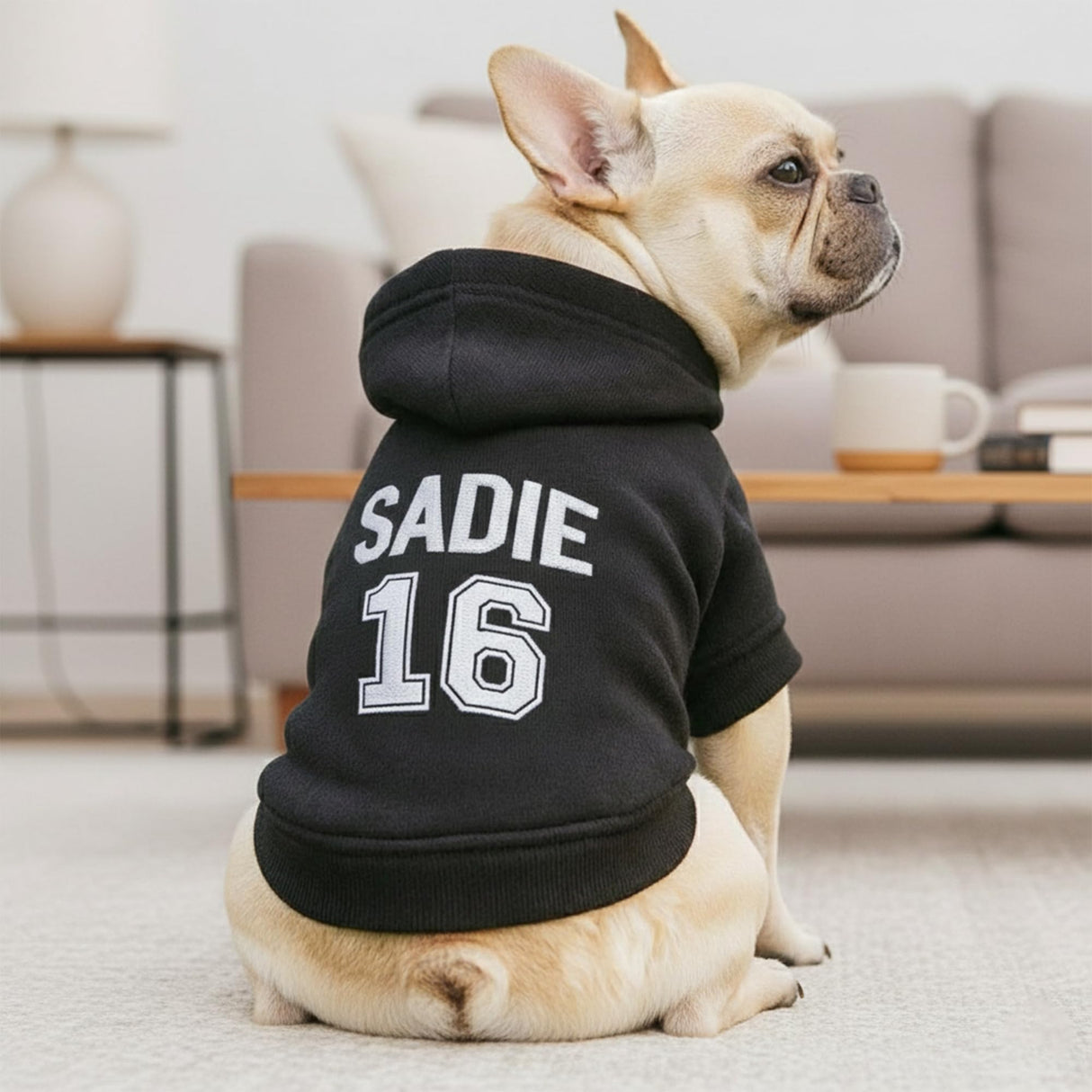 Personalized Dog Hoodie with Name/Text, Custom Embroidered or Printed Dog Sweater, Warm Winter Hoodie for Puppies, Cute Birthday Outfit, Unique Gift for Pet Lovers, A3