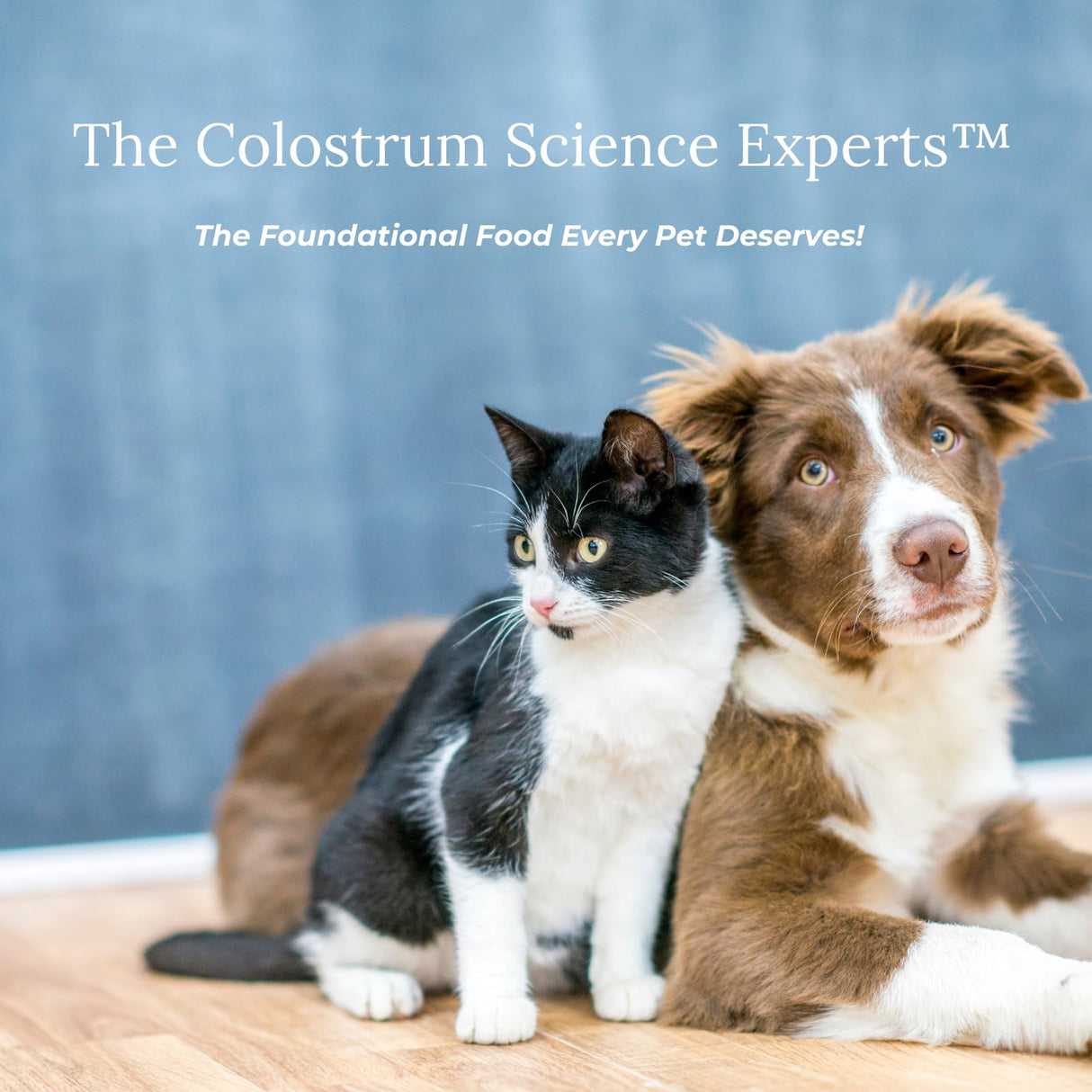 Veterinarian Approved Super Pet Nutrition - for Dogs and Cats - Liposomal Bovine Colostrum, Rich in Immunoglobulins (25%+), Support for Immune and Digestive Systems, Allergies (1.76 Ounces)
