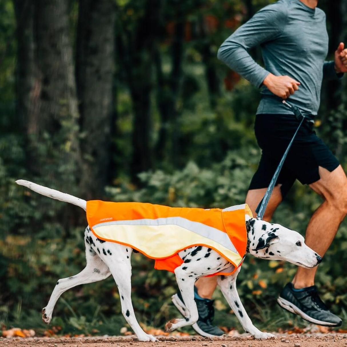 Ruffwear, Lumenglow High-Vis Dog Vest, Reflective Jacket with Water-Repellent Shell, Harness-Compatible Leash Portal, Side-Release Buckles, Back Light Attachment Loop, Blaze Orange, Medium