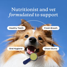 Load image into Gallery viewer, PetLab Co. ProBright Dental Powder - Dog Breath Freshener - Teeth Cleaning Made Easy – Targets Tartar & Bad Breath - Formulated for Medium Size Dogs - Packaging May Vary