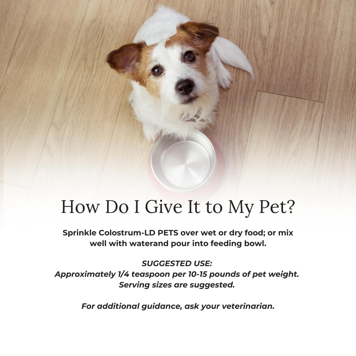 Veterinarian Approved Super Pet Nutrition - for Dogs and Cats - Liposomal Bovine Colostrum, Rich in Immunoglobulins (25%+), Support for Immune and Digestive Systems, Allergies (1.76 Ounces)