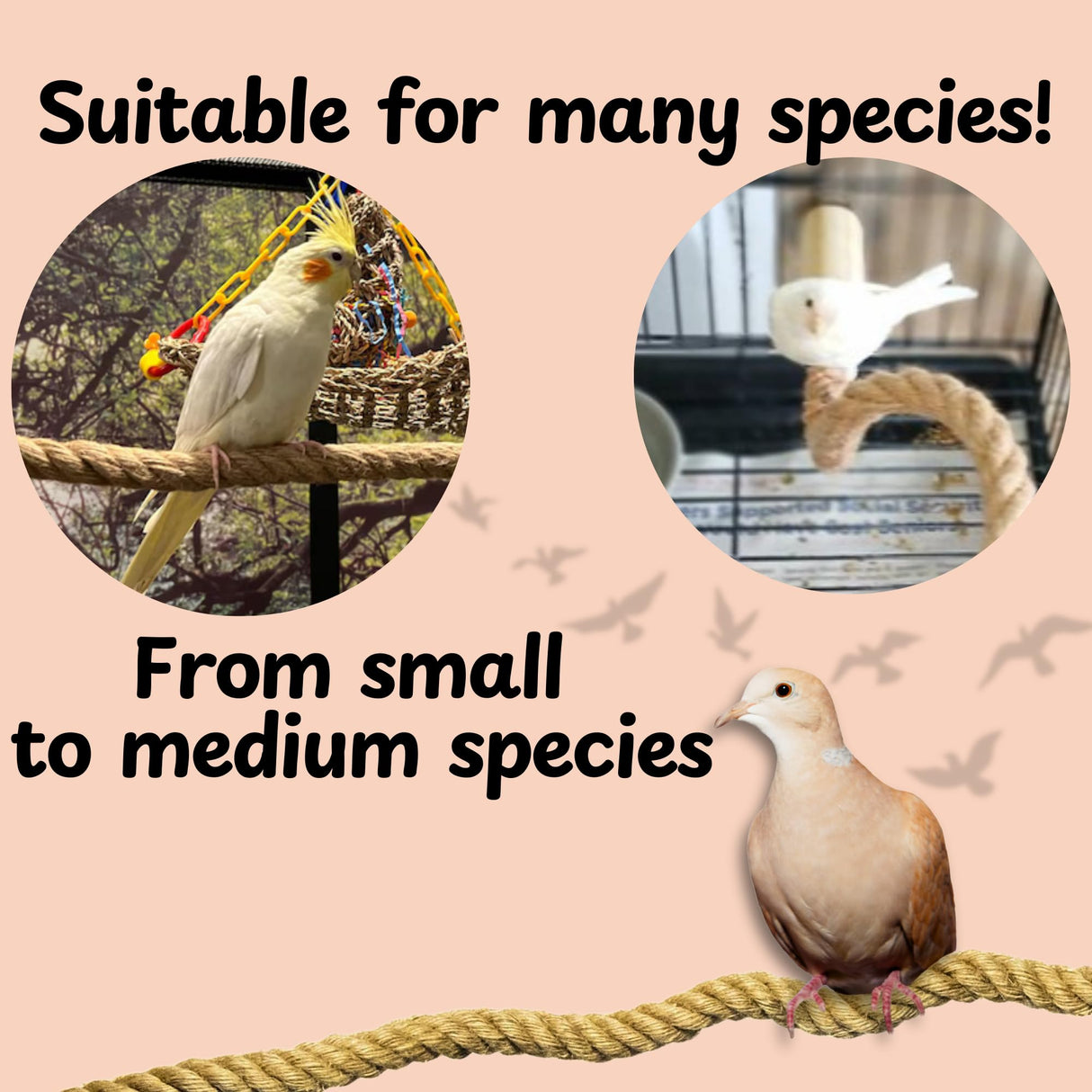 Lovely Little Flyers Bird Rope Perch for Parrots, Bendable Natural Jute Boing with Pine Wood and Stainless Steel Mount, Cotton Alternative, Cage Accessory for Parrots (Brown, 4 feet)