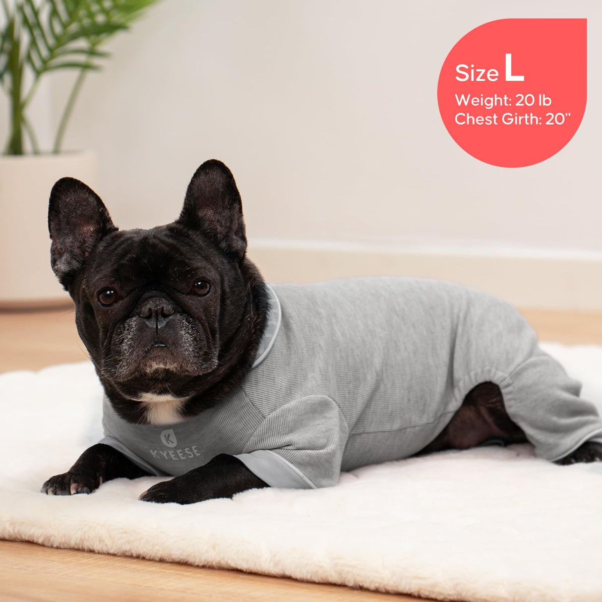 KYEESE Dog Pajamas, Soft Dog Pajamas for Medium Large Dogs Girl Boy, Stretchy Dogs PJS Lightweight Onesie Clothes, Comfy Jammies Pet Jumpsuit Outfit, Grey, 2XL