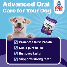 Load image into Gallery viewer, Pup Labs ProDenta, All-Natural Dog Dental Powder for Teeth Cleaning, Dental Powder for Dogs Teeth with Breath Freshener. Easy to use for Tartar Removal and Leaky Gums. Made in USA, 30 Servings