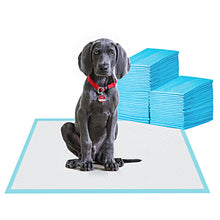 Load image into Gallery viewer, BESTLE Large Pet Training and Puppy Pads Pee Pad for Dogs 24"x24"-80 Count Super Absorbent & Leak-Proof