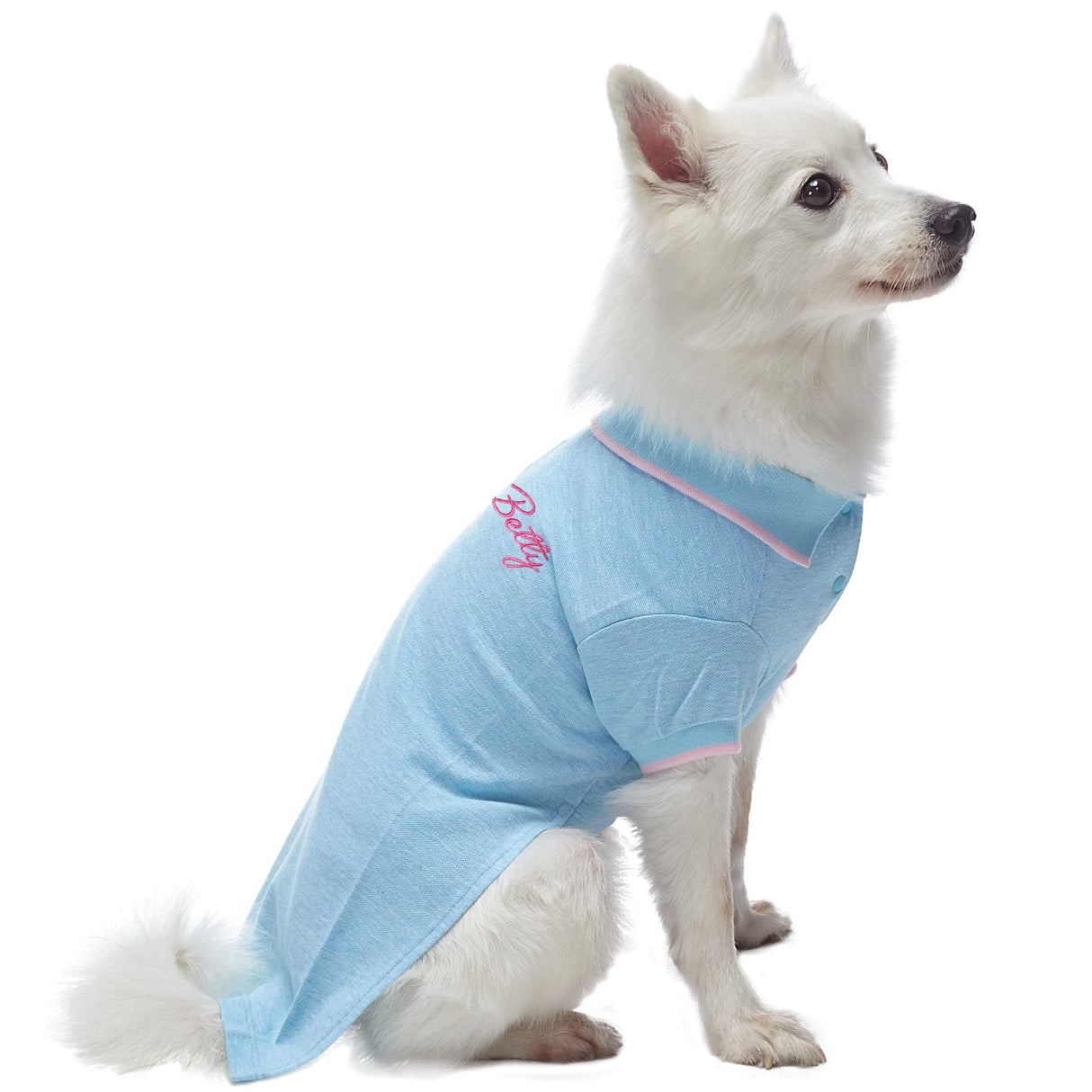 Blueberry Pet Back to School 2-Pack Custom Personalized Prep School Style Dog Polo w/Embroidered Name| Cotton Outfit for Small Pets in Pastel Pink + Blue, Back Length 16 inch