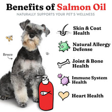 Load image into Gallery viewer, Salmon Oil for Dogs & Cats - Healthy Skin & Coat, Fish Oil, Omega 3 EPA DHA, Liquid Food Supplement for Pets, All Natural, Supports Joint & Bone Health, Natural Allergy & Inflammation Defense, 8 oz