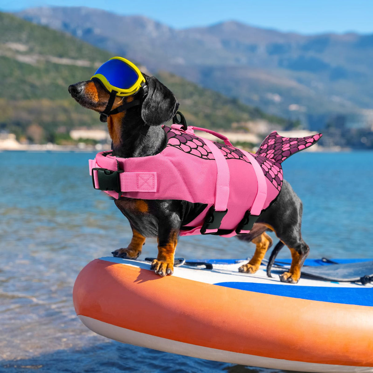 Baipesiy Mermaid Dog Life Jacket, Pink Ripstop Dog Life Vest for Swimming & Boating, High Buoyancy Adjustable Pet Vest with Durable Rescue Handle & D-Ring, for Small/Medium/Large Dogs (Mermaid, M)
