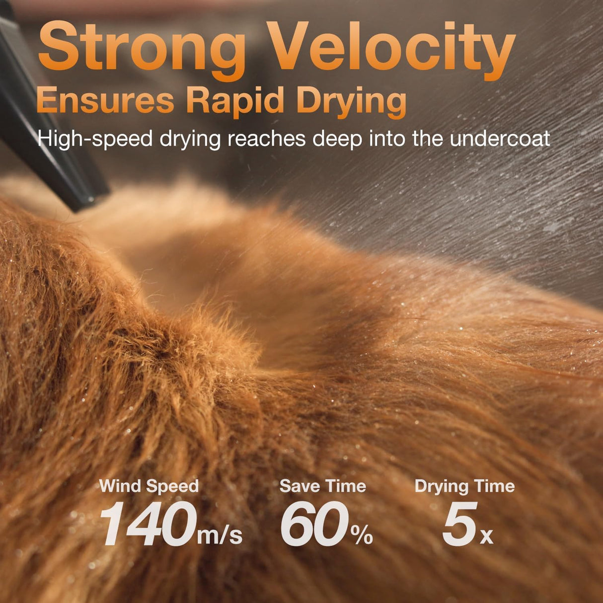 petaboo Dog Dryer - Ultra-Quiet 40dB Cat Mode, Portable & All-in-One Storage, 3-in-1 Nozzles & Adjustable Speed/Temp, Negative Ion Technology, BLDC Motor, Force Dryer for Dogs & Cats