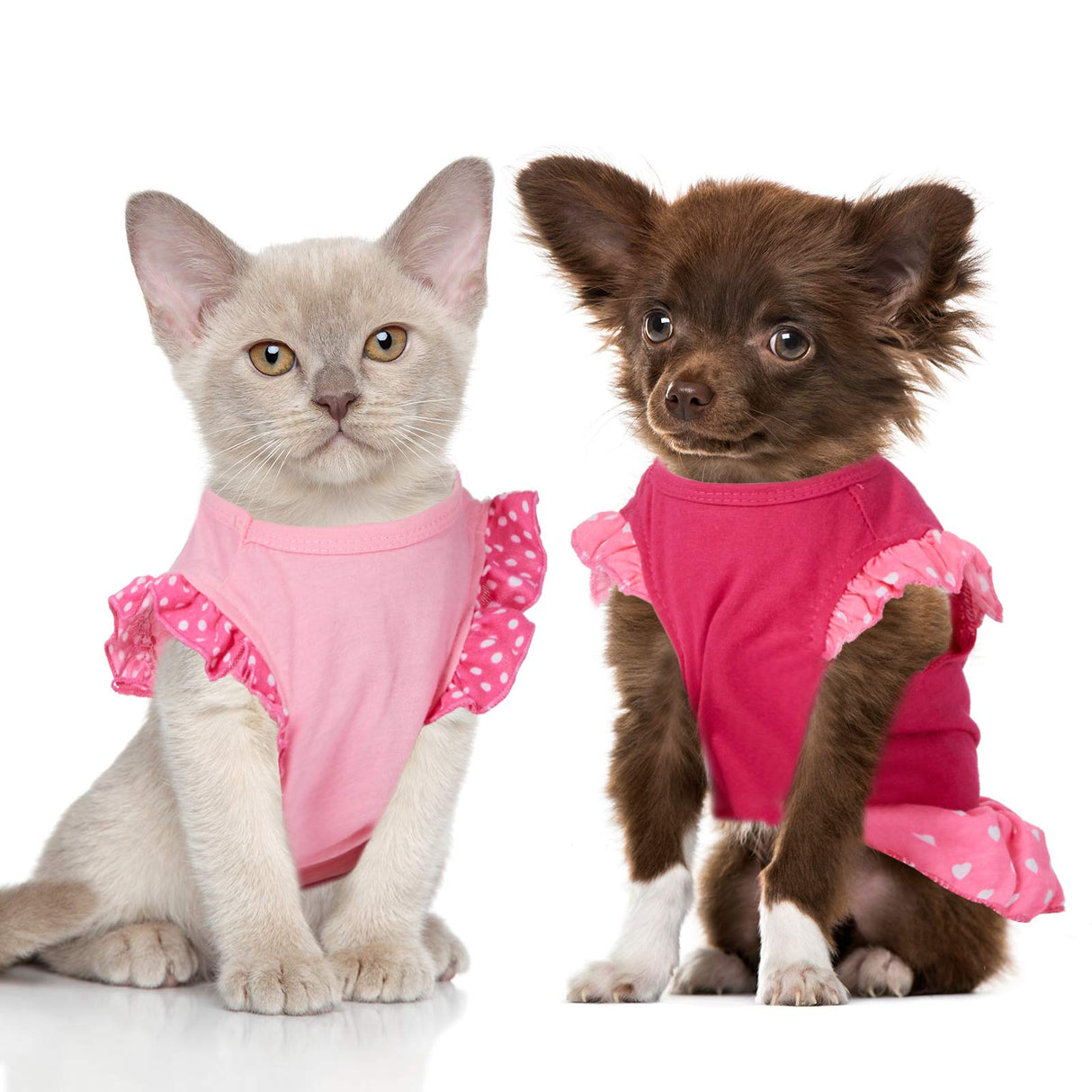 Weewooday 4 Pack Dog Dress Cute Pink Dog Clothes Skirt Girl Pet Princess Dress Puppy Summer Apparel Clothes Skirt Shirt with Ruffles Apparel for Small Puppy Cats Pet(M)