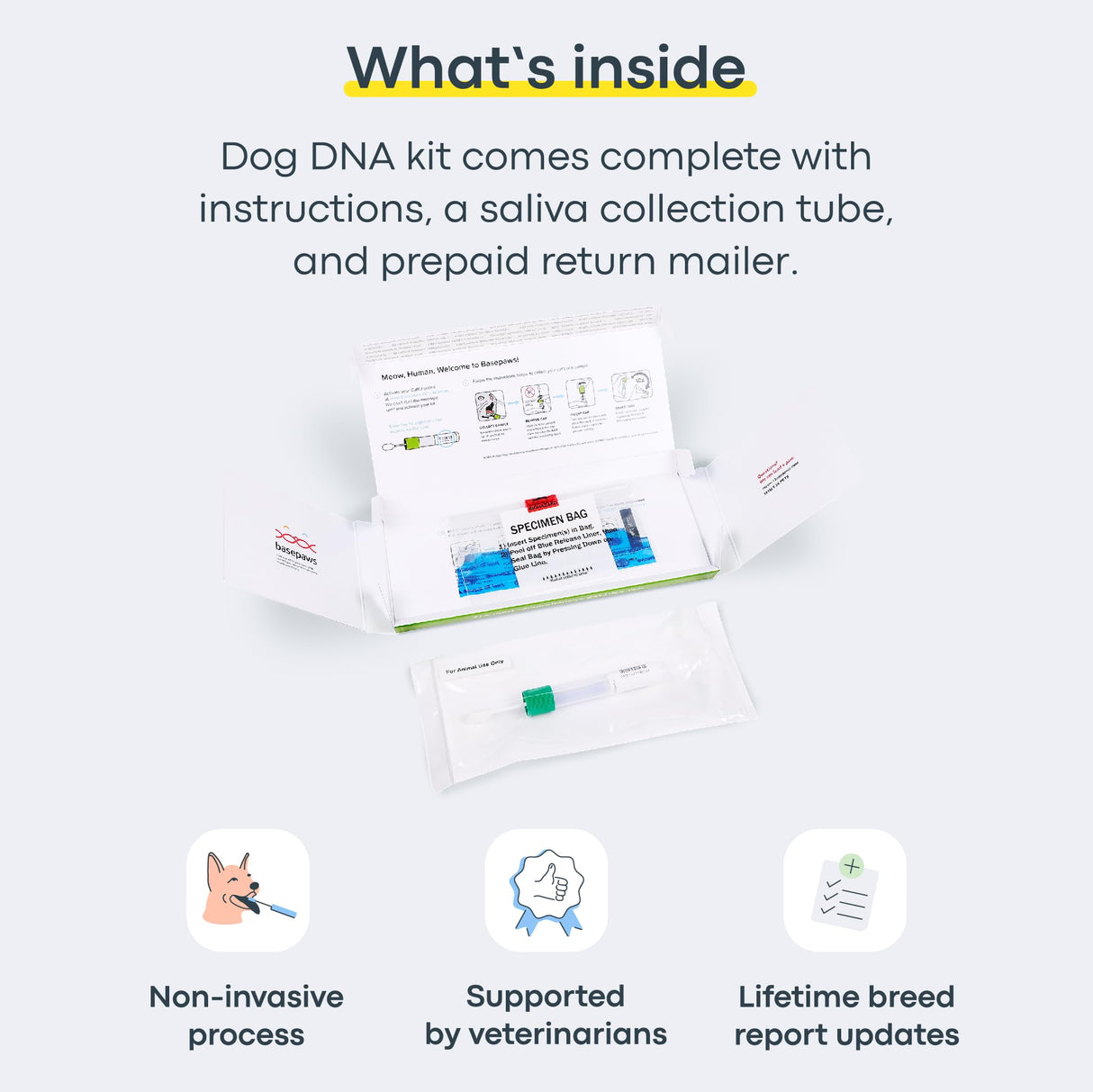 Basepaws Dog DNA Testing Kit - 330+ Breeds, 280+ Health Risks, and 30+ Traits - Comprehensive Mixed Breed Identification, Pet DNA Test kit, Canine Genetic Ancestry and Heritage