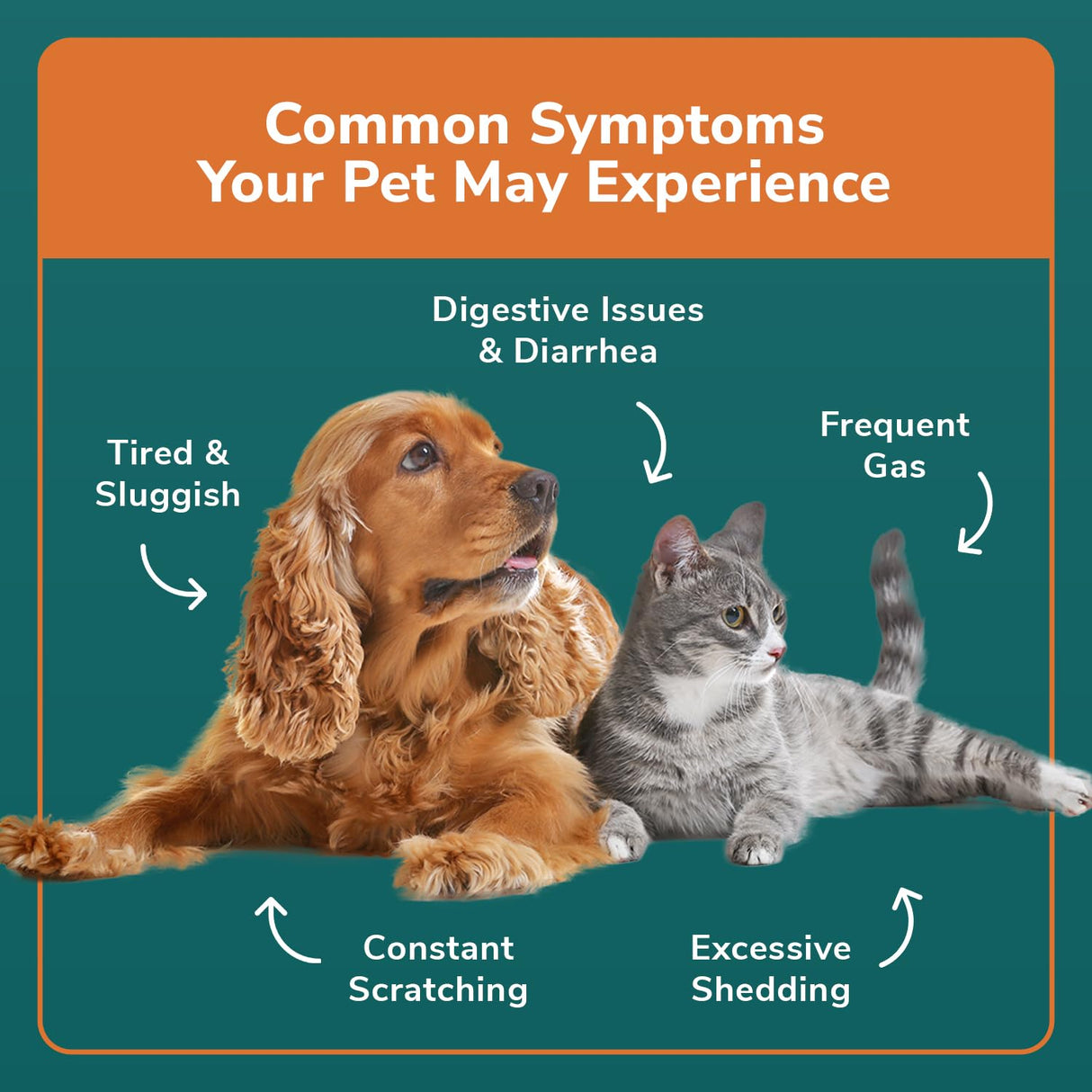 TotalVet Dog Allergy +1000 Food & Nutritional Sensitivity Test, Pet Intolerance Kit at Home — Advanced Complement to DNA Tests for Complete Pet Wellness