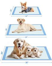 Load image into Gallery viewer, Powools 100-Pack X-Large Puppy Pads - 34'' x 28'' Pee Pads for Dogs Potty Training with Leak-Proof Quick-Dry Design, 6-Layer Wee Wee Pads for Dogs, Blue