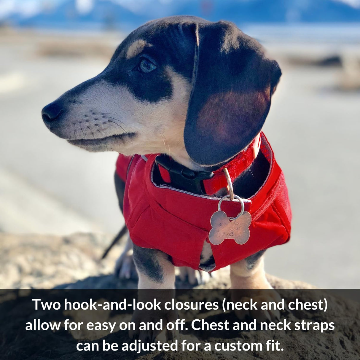 DJANGO Dog Jacket & Raincoat – Lightweight Water-Resistant Coat for Small, Medium & Long Dogs Like Dachshunds – Reflective, Adjustable Fit, Harness-Compatible & Easy-Access Harness Hole - Red, Medium