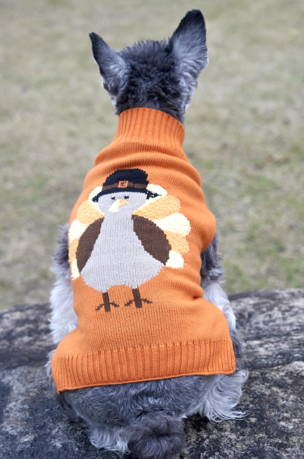 Lanyarco Thanksgiving Fall Dog Clothes Outfit Costume, Turkey Pet Dog Sweater for Large Dogs, X-Large (XL) Size 20" Back Length Orange
