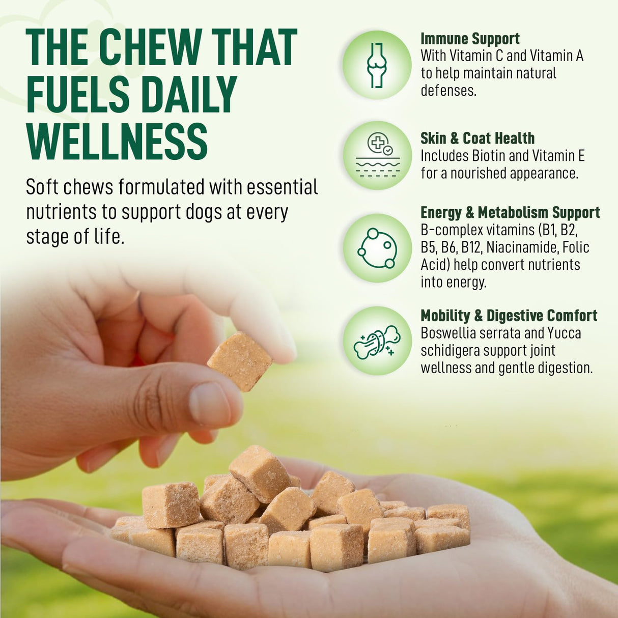 My Dog Sanctuary 14 in 1- Multivitamin for Dogs 120 Chews - Daily Support for Active & Aging Dogs Supplies/Vitamin A, D3, E, C, and B-Complex for Joint, Skin, Coat, Immune - Dog Multivitamin, Bacon