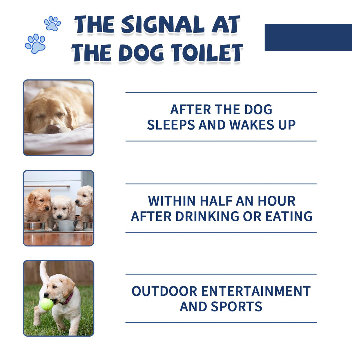 Die-matic Potty Training Spray for Dogs,Puppy Potty Training Spray,Address Canine Inappropriate Elimination Habits | Proven HousebreakiHousebreng Methods for Indoor & Outdoor Environments 3.51 Oz