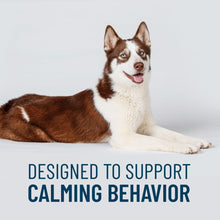 Load image into Gallery viewer, Nutramax Solliquin Calming Support for Dogs, Behavioral Health Supplement with L-Theanine, Magnolia/Phellodendron, and Whey Protein Concentrate, Soft Chews, 75 Count