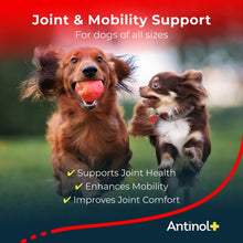 Load image into Gallery viewer, Antinol Plus, Mobility, Hip, and Joint Supplement for Dogs, Green-Lipped Mussels and Krill Oil - Dog Joint Supplement, Better and Faster Than Glucosamine and Chondroitin, 60 Soft Gels
