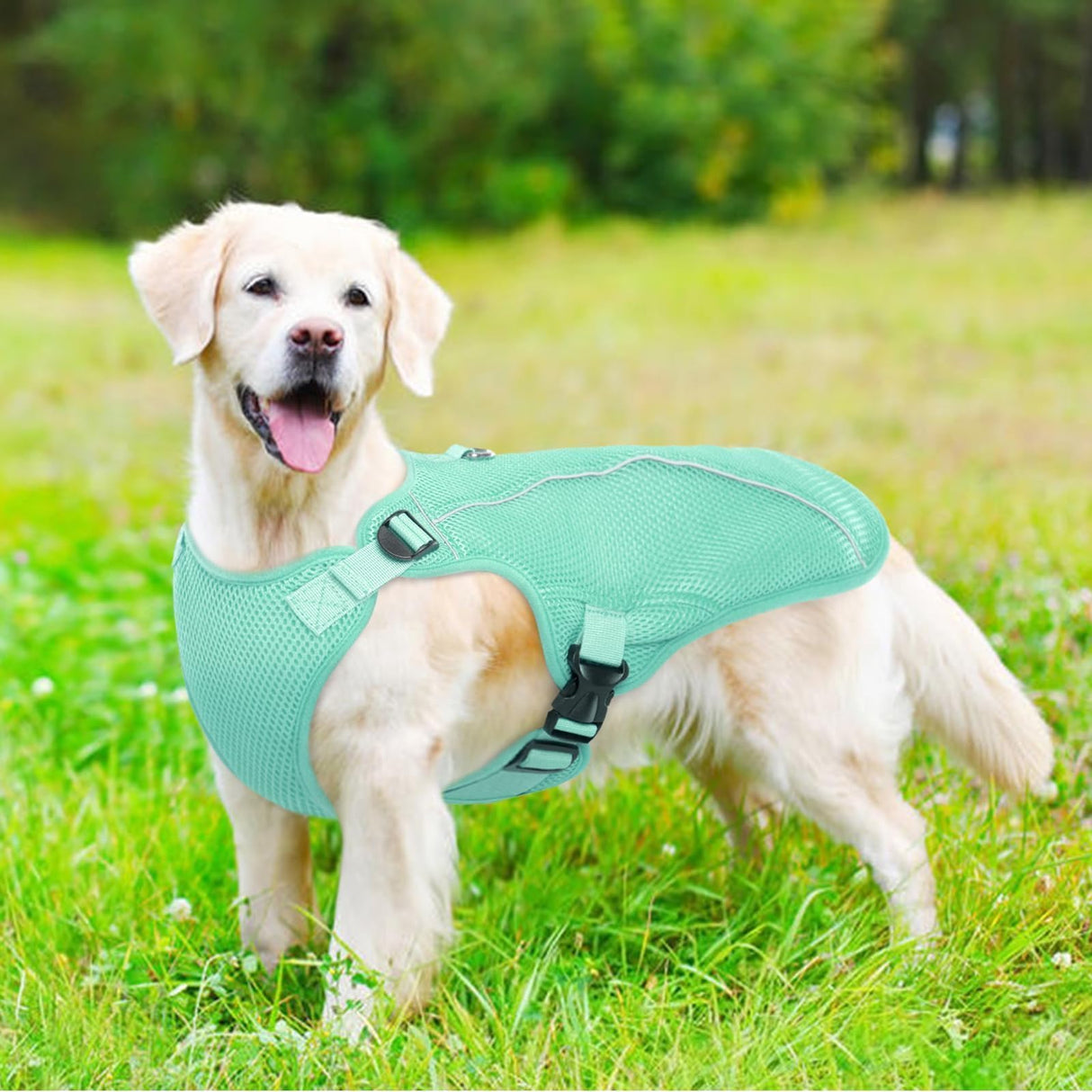 Kuoser Dog Cooling Vest Harness, Small Dog Cooler Jacket with Adjustable Buckle for Outdoor Beach, Hiking, Training Green S