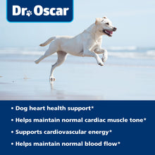 Load image into Gallery viewer, Taurine Supplement for Dogs Meets RDA of 500 mg per 25lbs Weight Unlike Most Alternatives, 120ct, Helps Maintain Dog Heart Health, Normal Function of The Cardiac Muscle & Normal Blood Flow