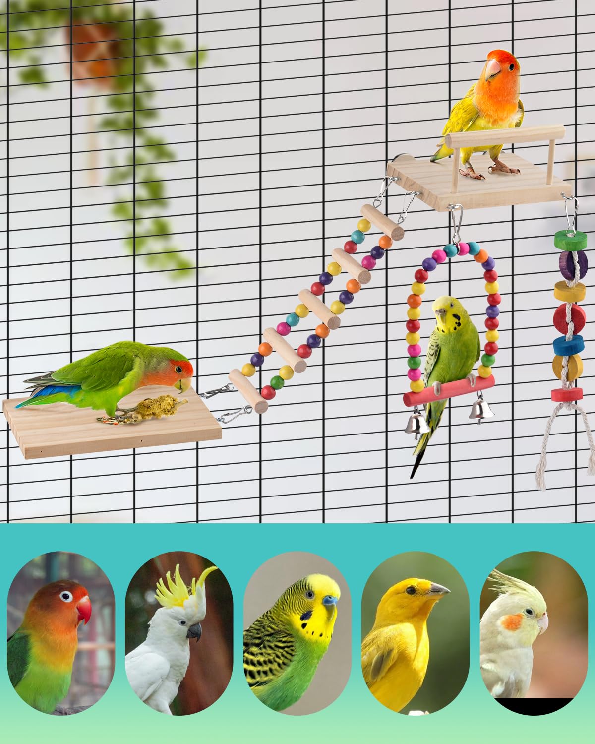 DBNESS 5in1 Bird Parakeet Toys, Detachable Birdie Perches Platform Swing with Climbing Ladder, Parrot Cage Stand Accessories, Wooden Playing Gyms for Conure Cockatiel Lovebird Finch Budgerigar Pigeon