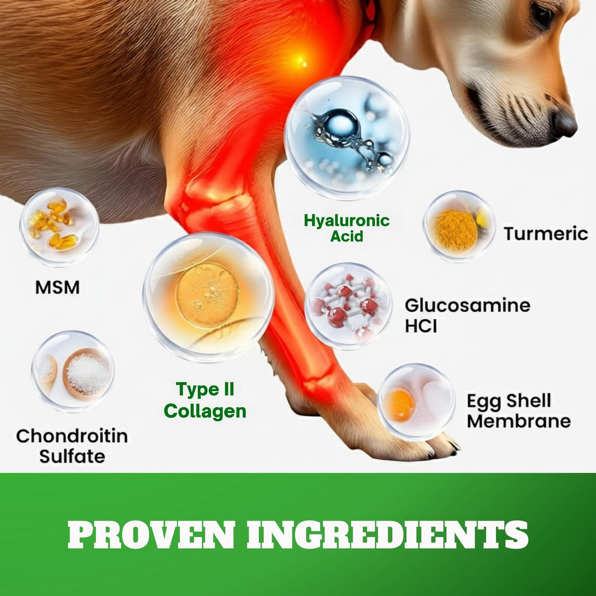 Dog Hip & Joint Supplement Chews with Glucosamine & Chondroitin – Joint Support for Senior & Large Breed Dogs, Helps Mobility & Flexibility – 120 Ct