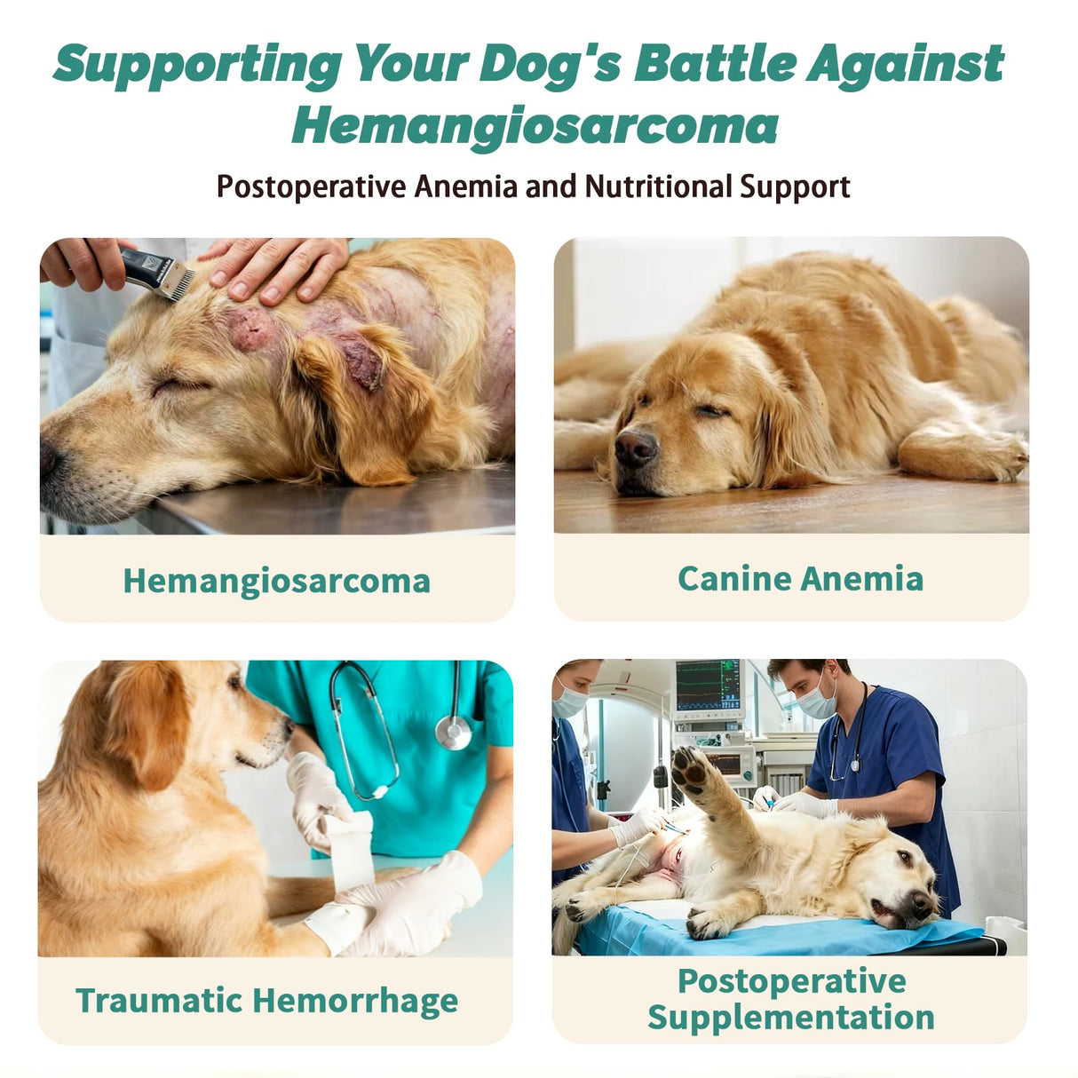Yunnan Sanqi Blood Support Capsules for Dogs - 90 Capsules for Hemangiosarcoma, Hemoabdomen, Pericardial Effusion, Cancer Bleeding, Severe Bruising, Ulcer Bleeding & Bloody Stools