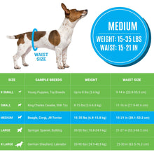 Load image into Gallery viewer, Bodhi Dog Disposable Male Dog Diapers - Super Absorbent, Leak-Proof Pee Wraps - Adjustable Fit, Comfortable Design, Advanced Moisture Control, and Wetness Indicator - Medium (20 Count)