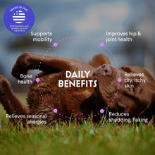 Load image into Gallery viewer, Premium Salmon Oil for Dogs – Pure Norwegian Salmon Oil High in Omega 3 EPA & DHA -Powerful Fish Oil for Dogs Skin & Coat, Hip & Joints, Allergies & Itchy Skin – Omega 3 Fish Oil for Dogs-16oz Liquid