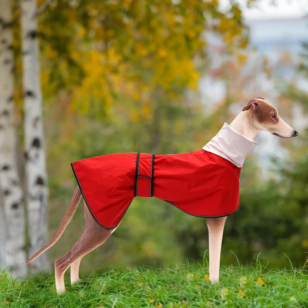 Greyhound Whippet Raincoat Waterproof with Reflective Stripe high Neck fit for Italian Greyhounds Whippets Long Back Breeds - Red - M