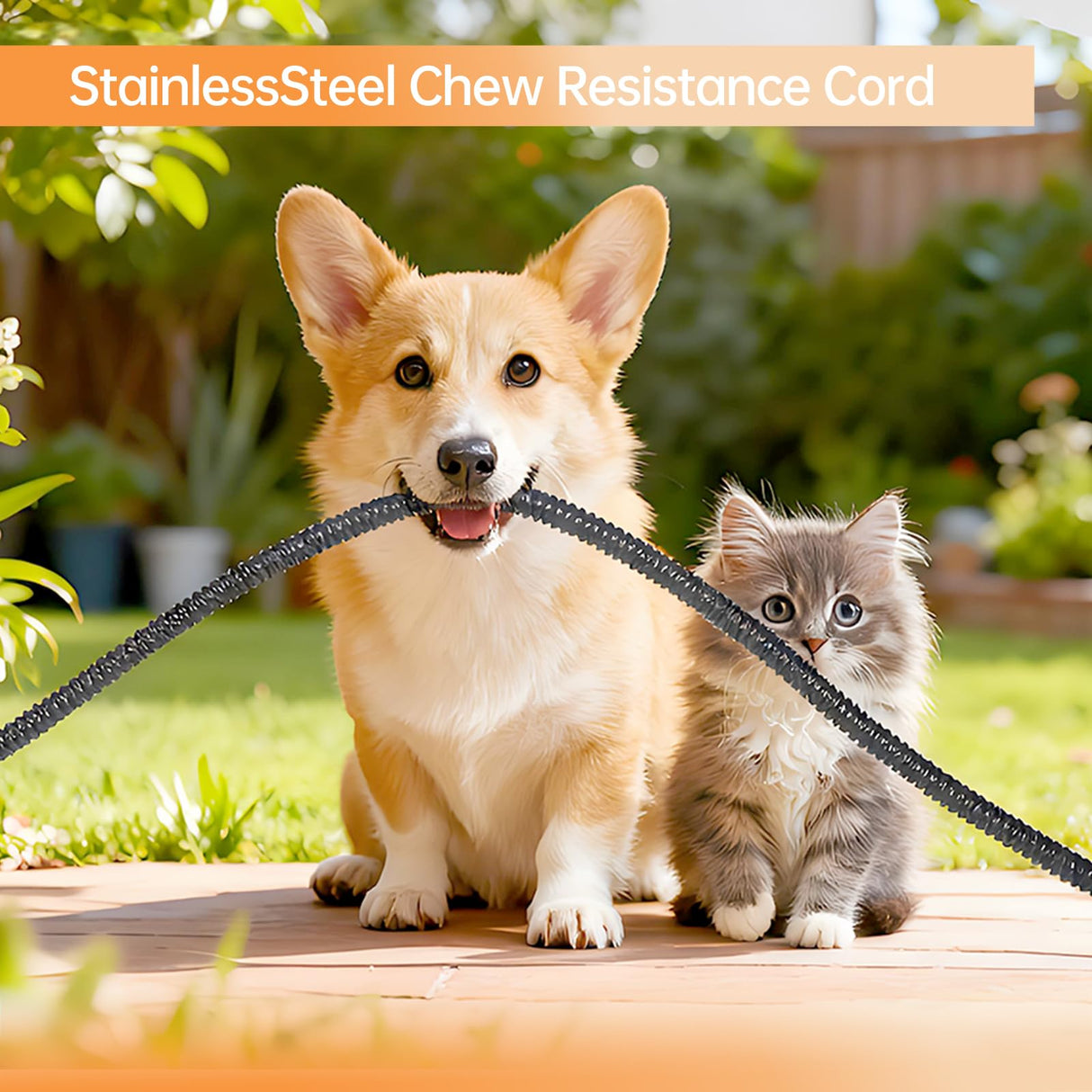 Pet Heating Pad, Electric Dog Cat Heating Pad with 6 Adjustable Temperature & 5 Timers, Indoor Warming Heated Mat Pad with Removable Cover & Chew Resistant Cord (L: 32"x 20")