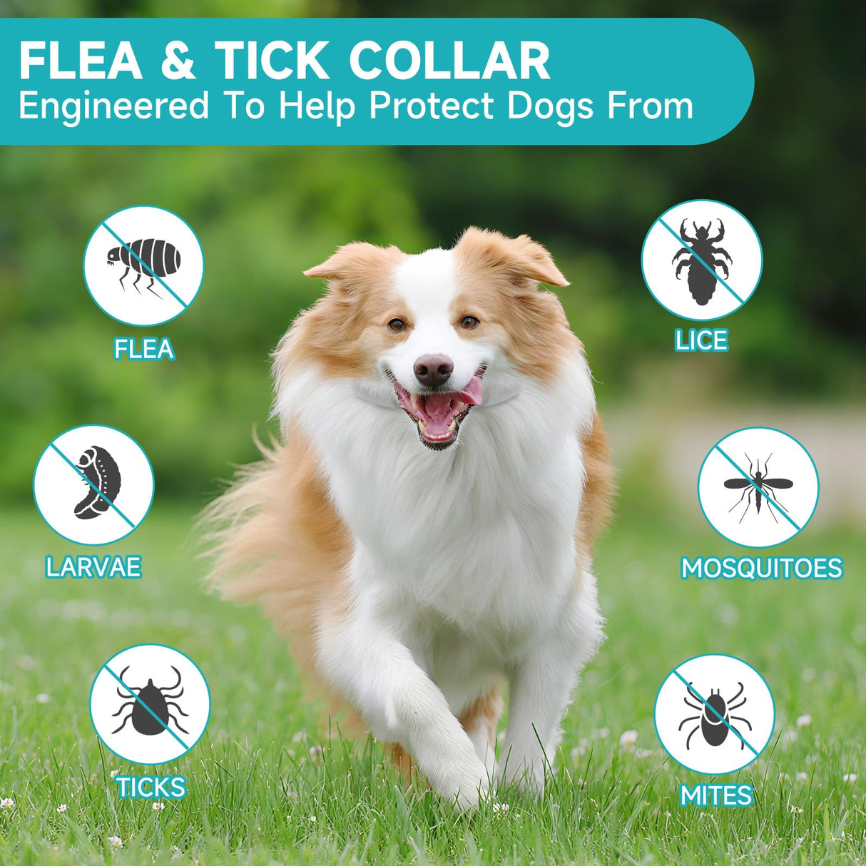 Flea and Tick Prevention for Dogs, 4 Pack Flea Collar for Dogs, Dog Flea and Tick Treatment, 32 Months Protection, Waterproof, Adjustable Collar for Dog, One Size Fits All for All Breeds, Grey