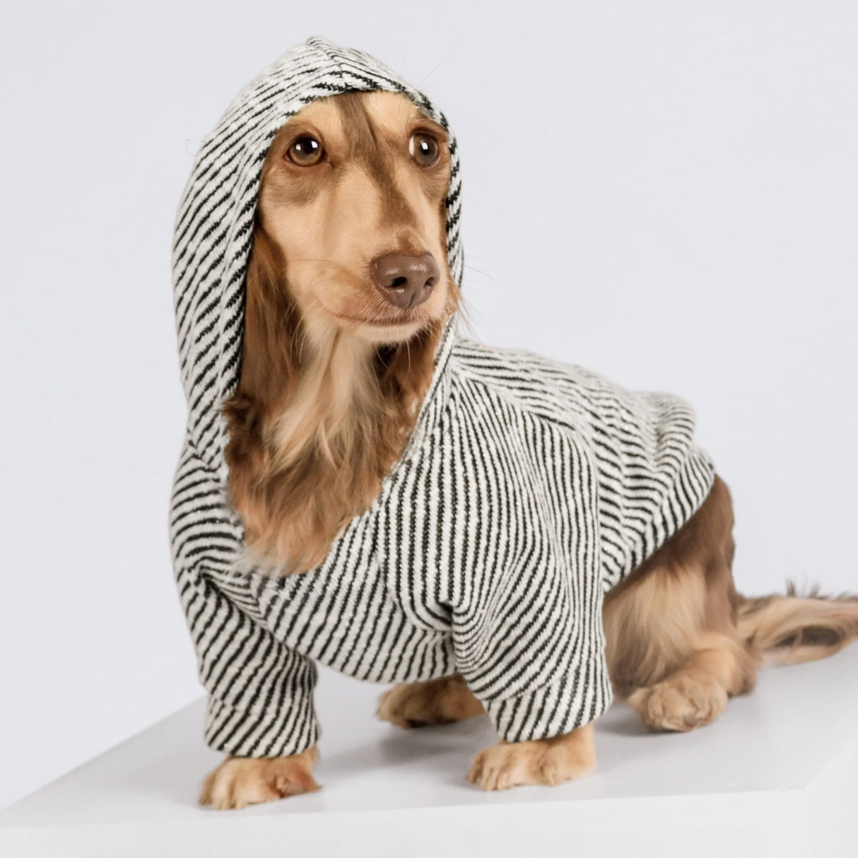 Fitwarm Sliver Striped Dog Hoodie, Doggy Winter Clothes for Small Dogs Boy Girl, Dog Sweatshirt with Hood, Lightweight Pet Hoodie, Silver, Black, XXL
