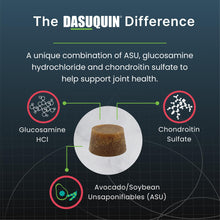 Load image into Gallery viewer, Nutramax Dasuquin Joint Health Supplement for Large Senior Dogs – for Immune Support, Skin & Coat Health, and Brain Health, 84 Soft Chews