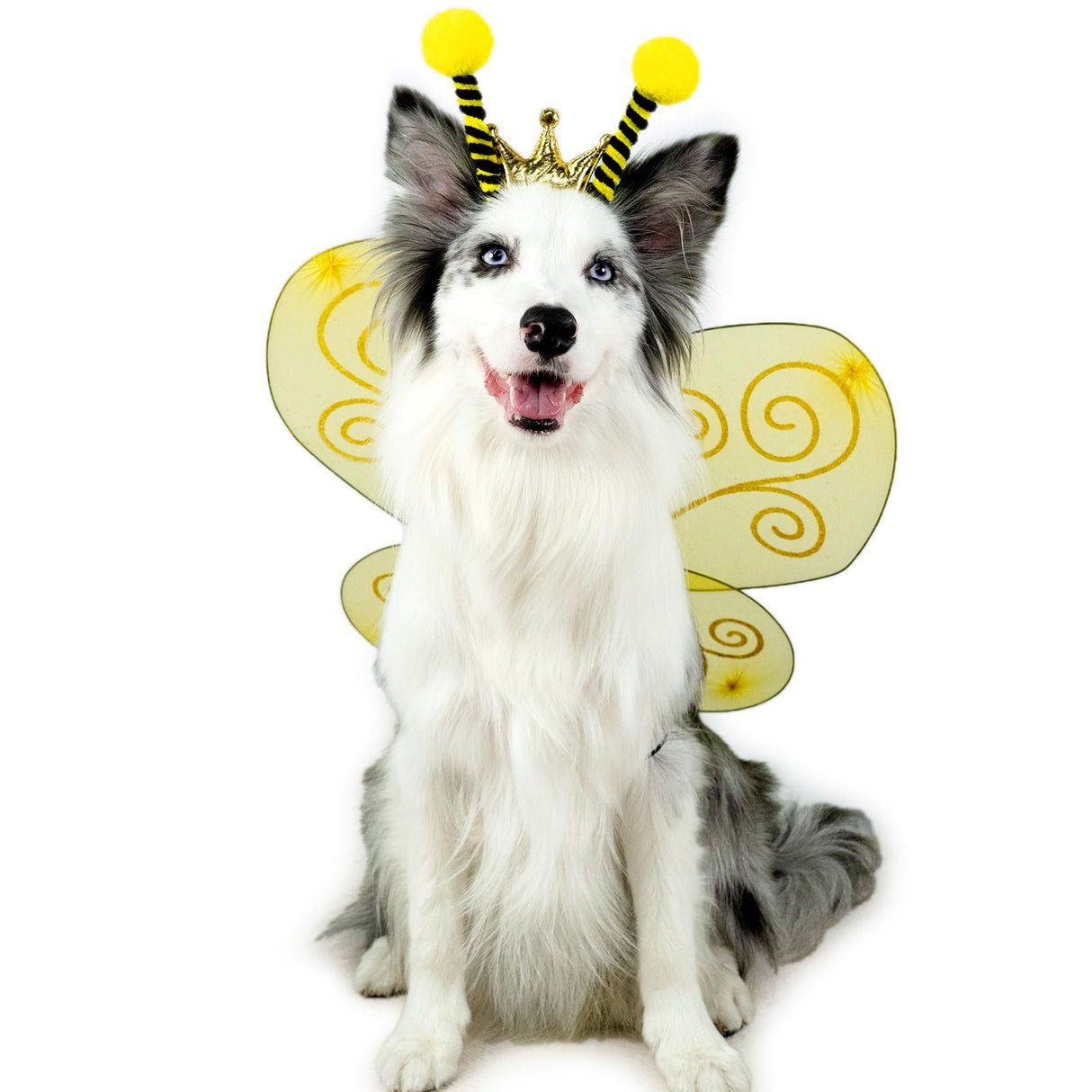 Wodison Bee Dog Headband and Wings Costume Set, Bee Wings Headband Accessories for Large Dog Halloween Christmas Birthday Festival Party Cosplay