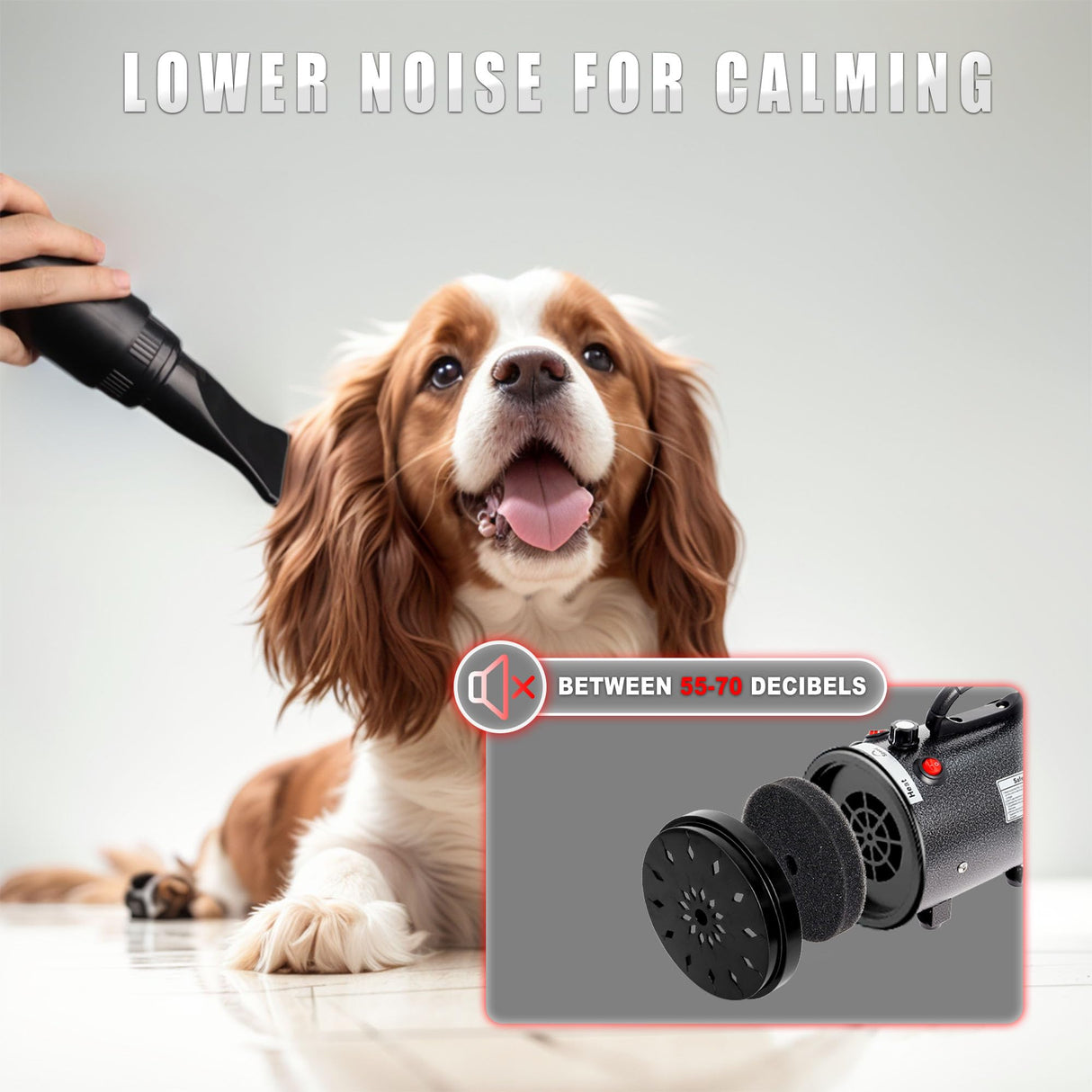 MCCKLE Dog Hair Dryer High Velocity Professional Dog Blow Dryer with Adjustable Speed Dog Pet Grooming Dryer Blower with 4 Nozzle 2 Blow Temperature(Black)