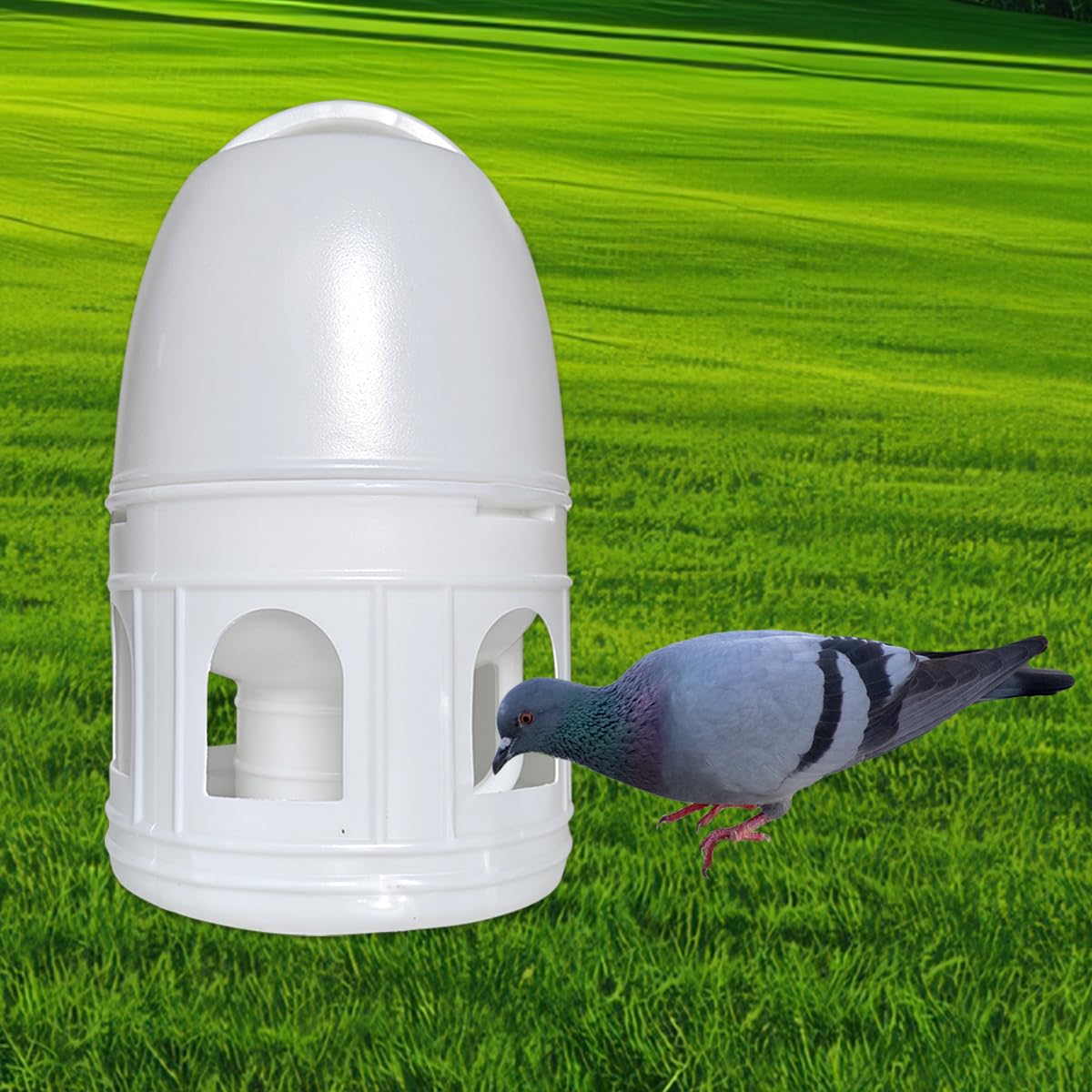 Panchitalk Bird Water Drinker, Pigeon Water Feeding Plastic Drinker Dispenser, 5L Pigeon Pet Water Pot Container, Water Automatic Feeders Dispenser Supplies